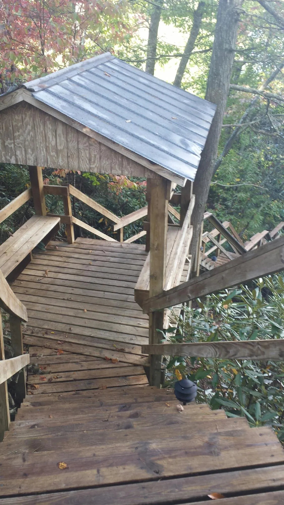Metal roofed shelter over wooden steps on a wooded walkway — Skylight Repair & Installation work by our crew in Fort Myers
